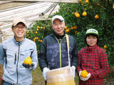 甘熟いちじく 令和4年度も完売御礼!昨日、最終発送完了!たくさんのご注文、誠にありがとうございました_a0254656_18121073.jpg