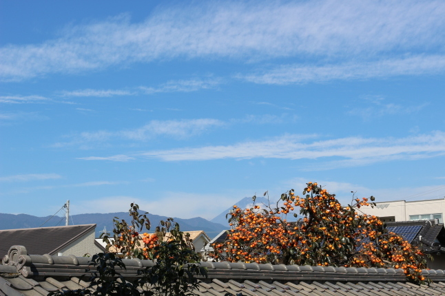 藍色の麻の葉模様_f0354014_10413363.jpg