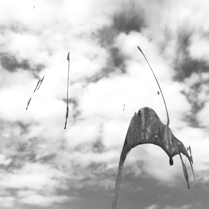 walking　_e0130546_13103654.jpg