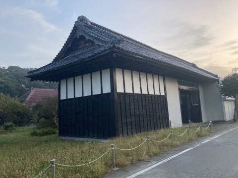 朝の散歩で_b0050651_08363972.jpg