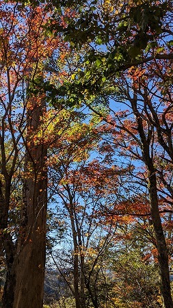 平家山～後平家山～夫婦山周回_f0193521_18180957.jpg