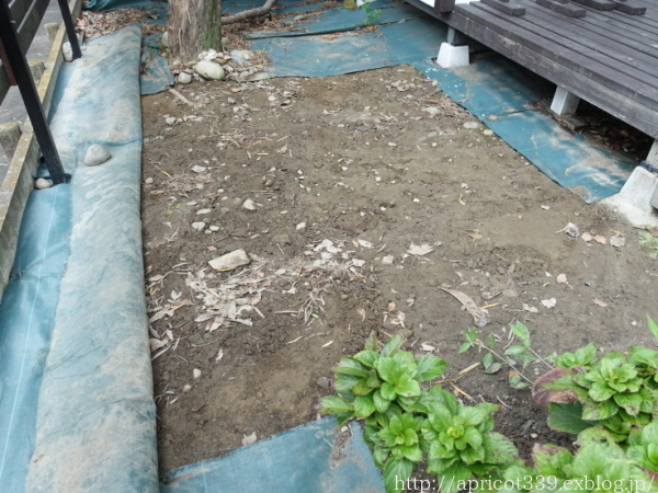 植栽スペースの開墾と、木酢液で土壌消毒_c0293787_17585036.jpg