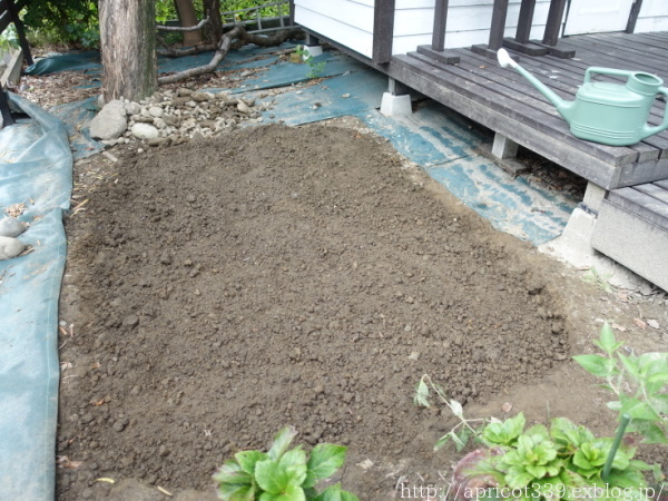 植栽スペースの開墾と、木酢液で土壌消毒_c0293787_17585559.jpg