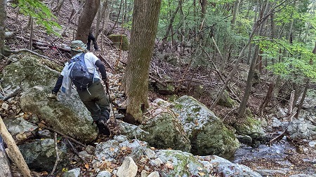 祖母山(メンノツラ谷～祖母山～池の原）_f0193521_08110107.jpg