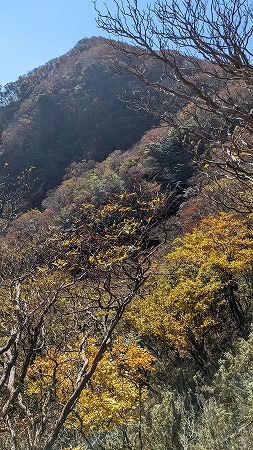 祖母山(メンノツラ谷～祖母山～池の原）_f0193521_08114671.jpg