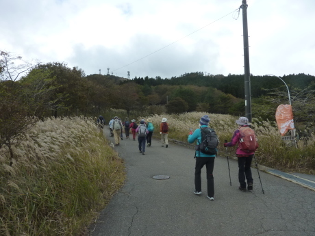 リラクシアの森とススキの高原を歩こう『峰山高原から砥峰高原』_c0218841_20580647.jpg