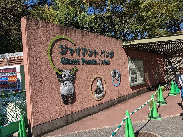 パンダを見てきました：上野動物園_f0397261_07435909.jpg
