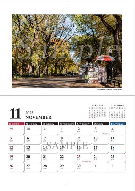 ニューヨークのカレンダーについて　ー11月の写真ー_a0274805_02241079.jpg