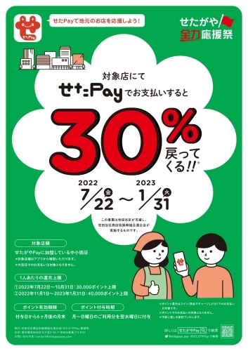 「せたがやPay・せたがや全力応援祭」スタートです！_e0069415_11390181.jpg