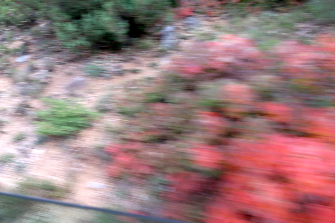紅に虹色にシビッリーニ山脈 紅葉で彩るハグマノキ_f0234936_23091328.jpg