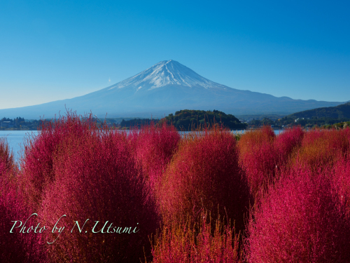 紅葉と富士山ー１０月３１日_d0155021_11103998.jpg