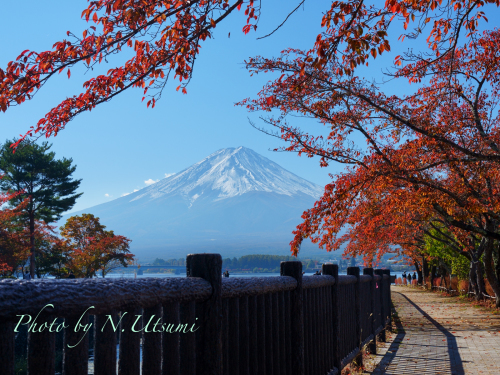 紅葉と富士山ー１０月３１日_d0155021_11104902.jpg