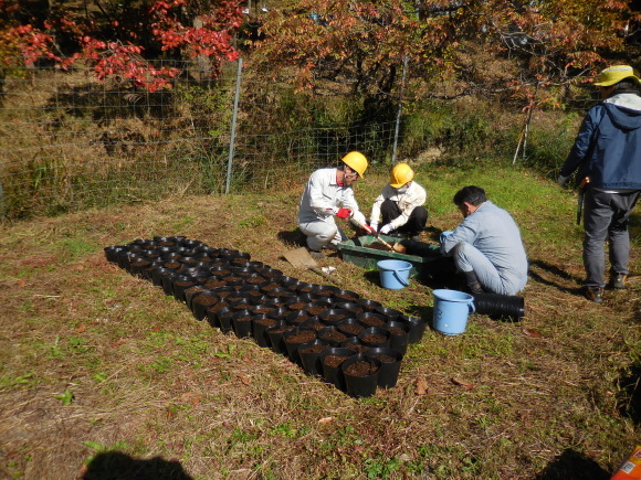 2022年11月06日（日）　定例活動　（桜の森１０３６）_f0342250_17285357.jpg