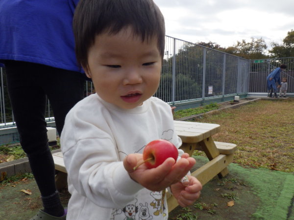 【食育】ひよこ組、りす組　りんごの収穫、りんごジャムパン_e0319922_13455979.jpg