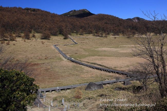 晩秋の池の平湿原　＃２　三方が峰へ　_c0405449_19142199.jpg