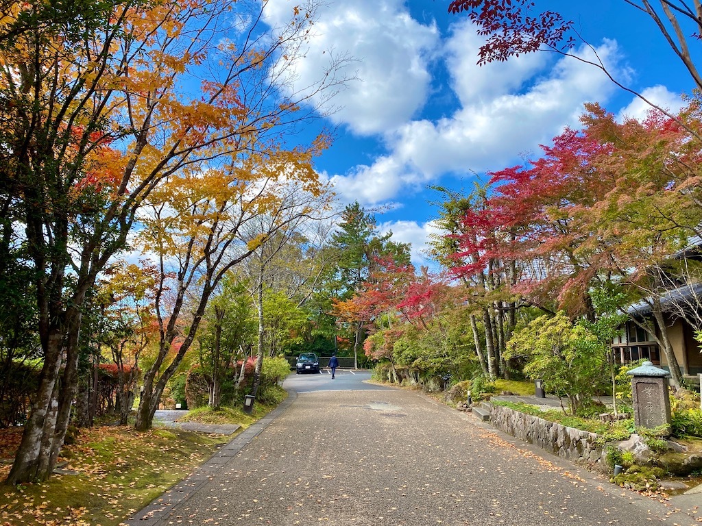 憧れのゆふいんの森号に乗車_e0401509_20033532.jpg