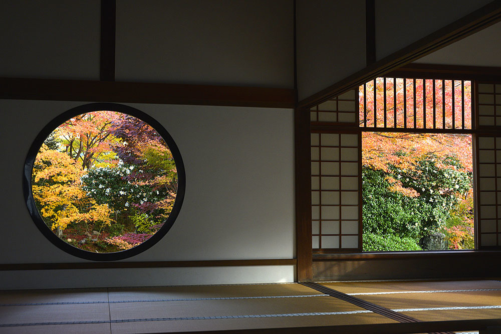 紅葉の想い出・デジタル編Ⅰ(11月9日・17:45＝1枚写真を追加しました。）_e0367330_20235369.jpg