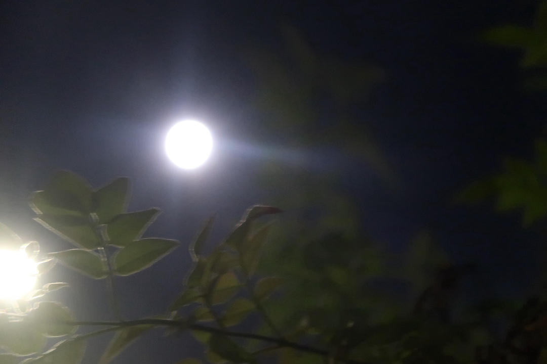 カラバッジョの映画見ずにケーキ焼いた満月の夜_f0234936_22502016.jpg