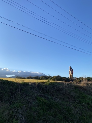 干支展フル TOTTORI in イトナミダイセン藝術祭2022_c0195272_15545234.jpeg