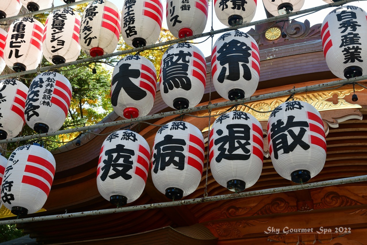 ◆ 「孫の七五三」で大國魂神社へ（2022年11月）_d0316868_08010399.jpg