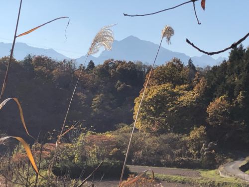 秋の深まり、釜無川に向かった。野猿返しから甲斐駒ヶ岳を望む、西日が眩しい。_d0338282_14455130.jpg