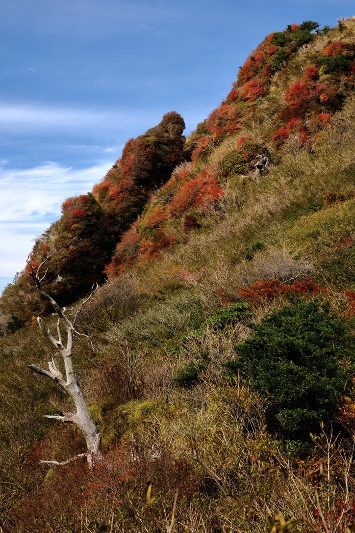 普賢岳登山　つづき_f0315034_12513171.jpeg