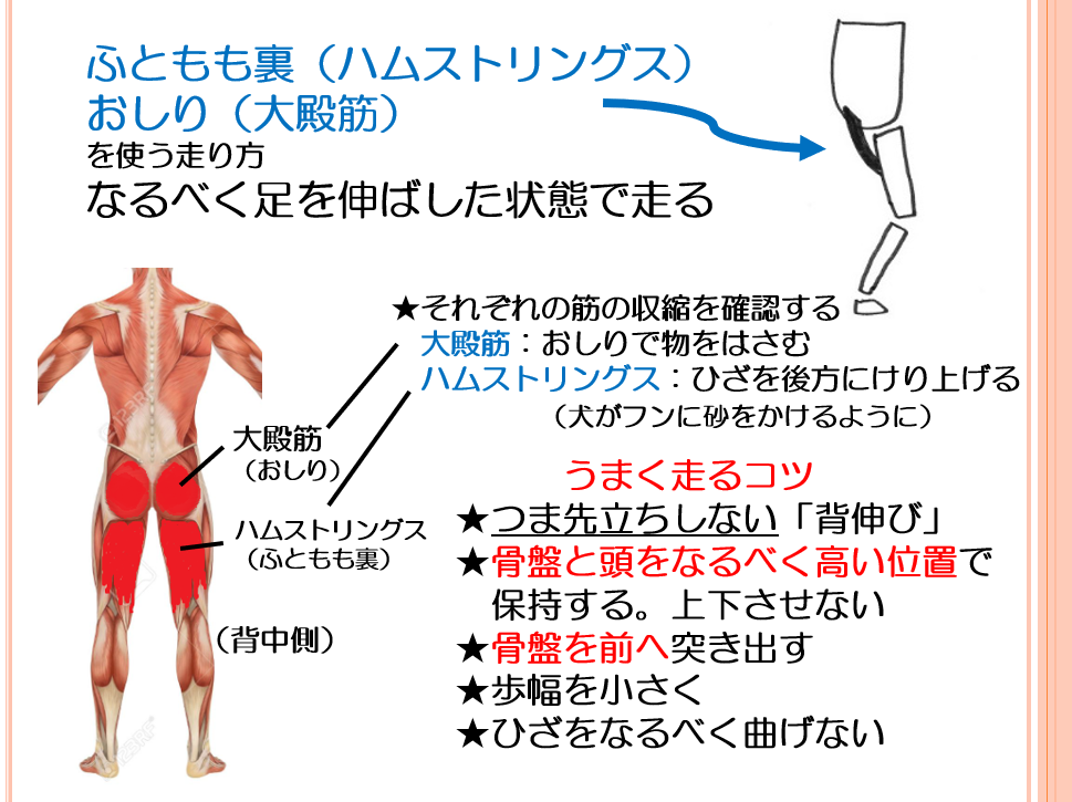 やせるランニング　#2335　令４年１１月_f0131183_08525396.png