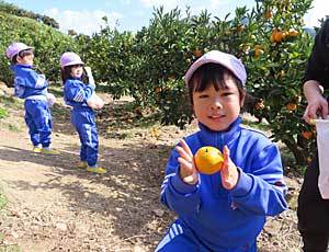 Tangerine orchard trip_e0325335_15392613.jpg