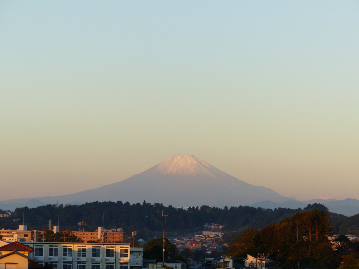 11月16日　紅富士とプラタナス_f0296312_13095203.jpg