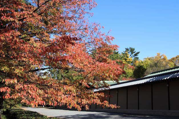 京都御苑　木々の葉が変化_e0048413_21233309.jpg