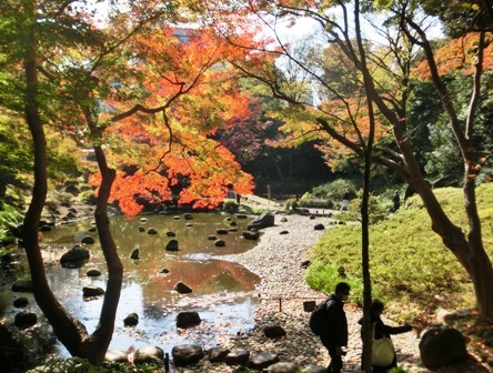 小石川後楽園の紅葉拝見して来ました_d0054116_14214263.jpg