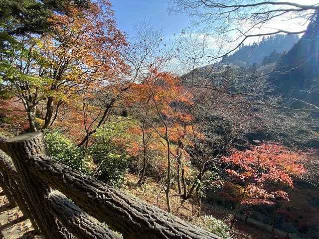 樹齢千年 神代ケヤキ ～御岳山～_a0169902_23520378.jpg