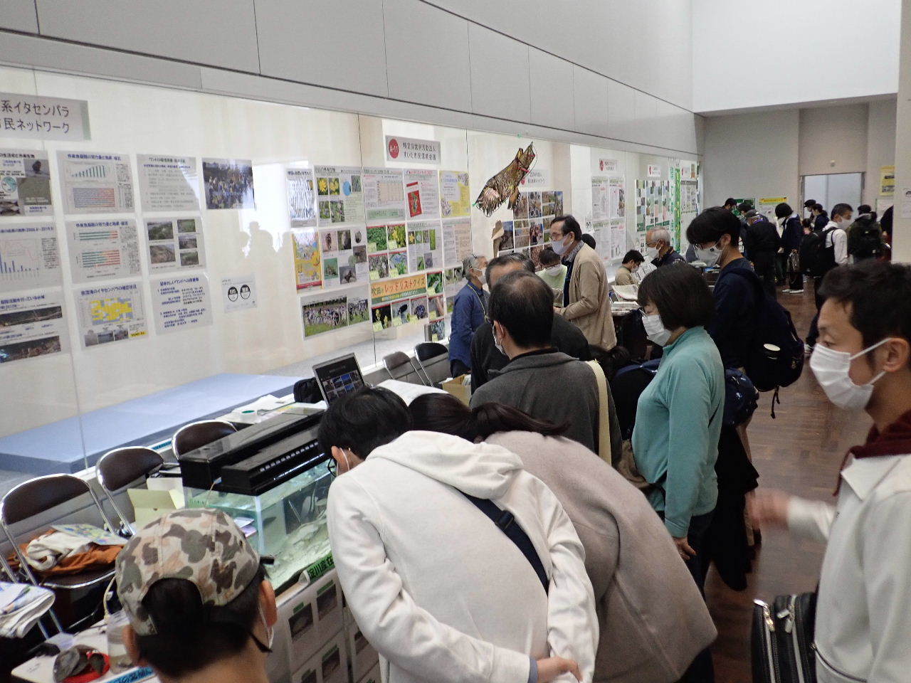 【ご報告】大阪自然史フェスティバル2022_a0263106_21092793.jpg
