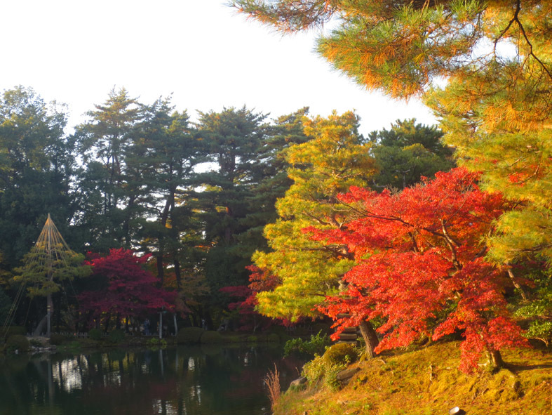  ■金沢・富山への小旅行①──京都からサンダーバードに乗り、紅葉真っ盛りの兼六園・アメリカ楓通りへ_d0190217_18044877.jpg