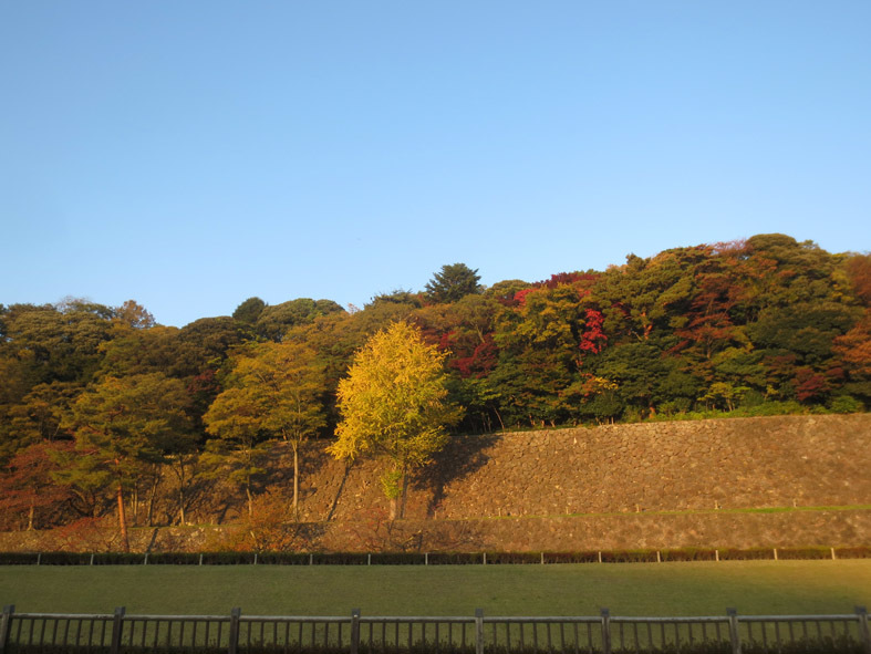  ■金沢・富山への小旅行①──京都からサンダーバードに乗り、紅葉真っ盛りの兼六園・アメリカ楓通りへ_d0190217_18075069.jpg