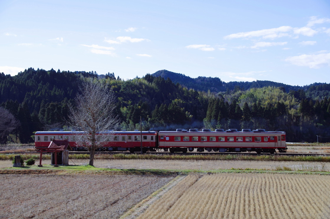 いすみ鉄道キハ28-2346とキハ52-125【2013年12月22日撮影記】_a0385725_16393372.jpg