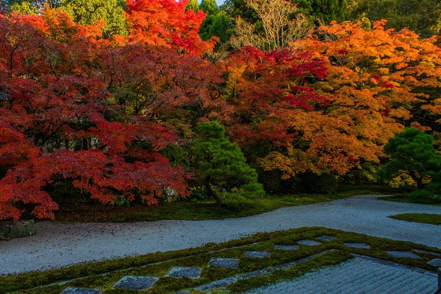 2022京都紅葉～天授庵（南禅寺塔頭）_e0363038_09411632.jpg