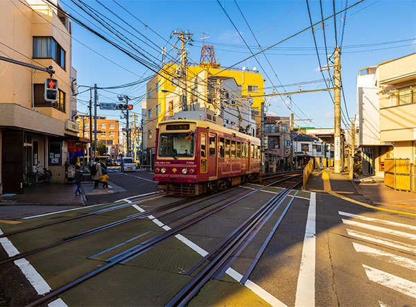 東京さくらトラム　都営荒川線_a0155464_12111604.jpg