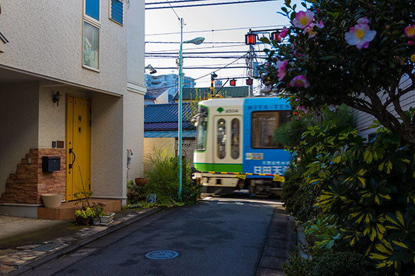 東京さくらトラム　都営荒川線_a0155464_12111623.jpg