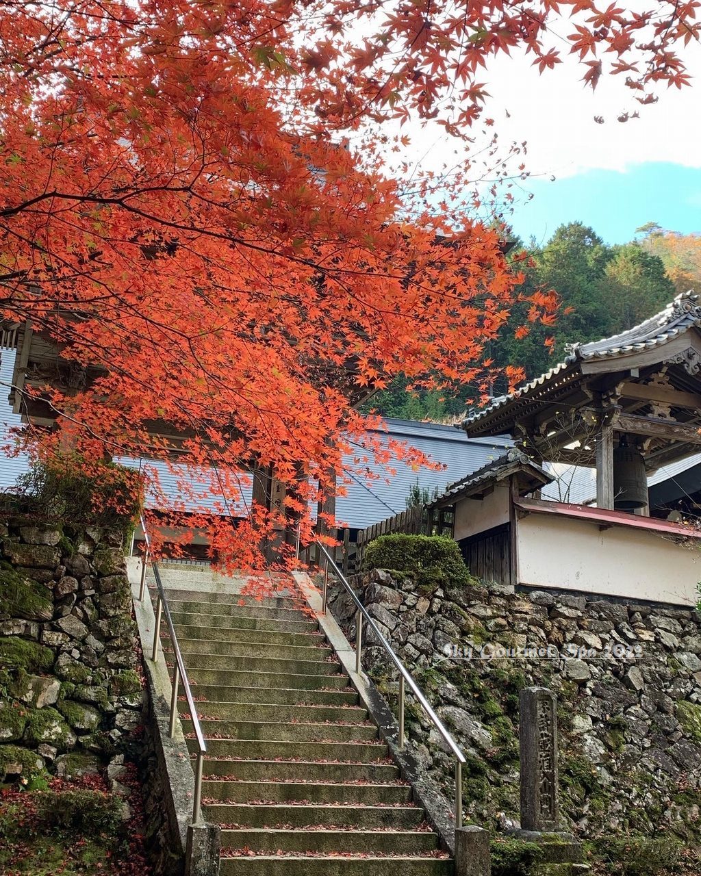 ◆ 鳥取を目指して、その10「京丹波 玉雲寺」へ（2022年11月）_d0316868_07294662.jpg