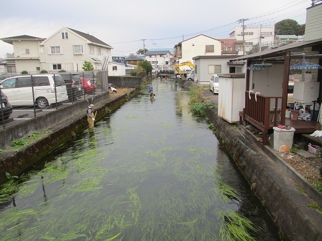 今年最後の「田宿川の川そうじ」と「令和4年度　富士市技能者表彰式」_f0141310_07290878.jpg