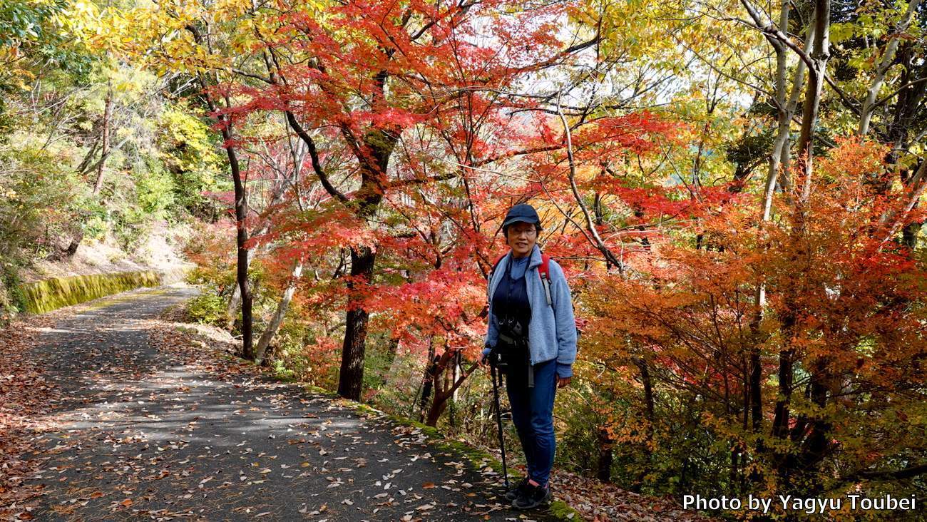 日本　背景は文殊山の紅葉_b0132475_16461188.jpg