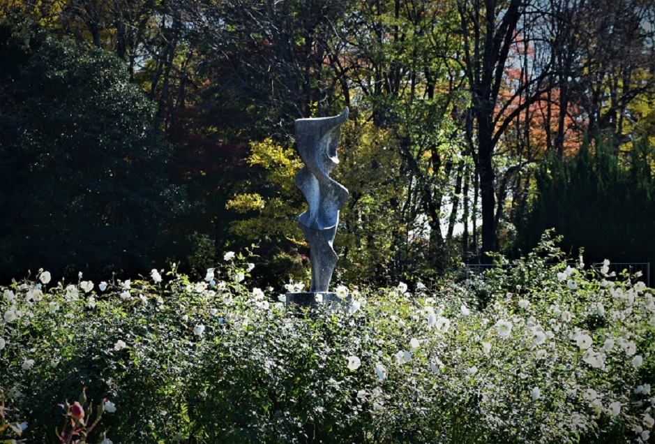 秋バラと紅葉を観に神代植物公園へ_d0099791_22293047.jpg