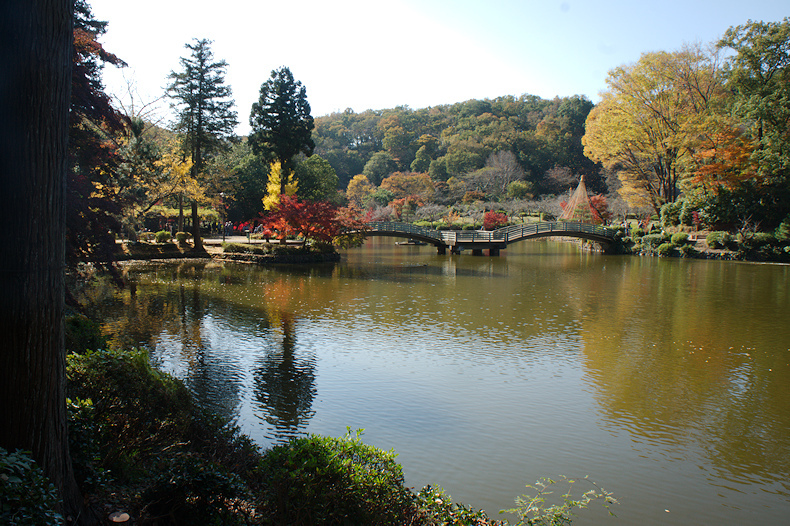 【その他】薬師池公園　紅葉祭り　2022　昼編　-2022.11.19-_b0002644_22415905.jpg