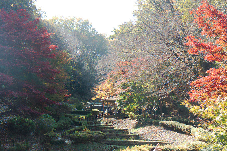 【その他】薬師池公園　紅葉祭り　2022　昼編　-2022.11.19-_b0002644_22421859.jpg