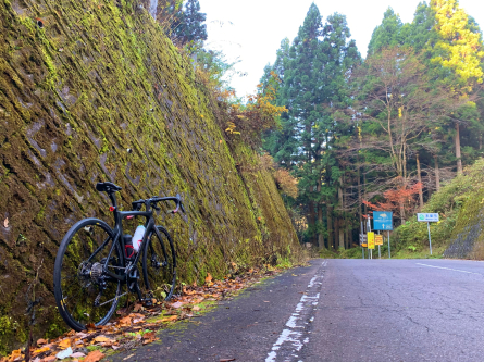 尾並〜淡墨桜〜馬坂〜徳山ライド_a0104199_16111751.jpg