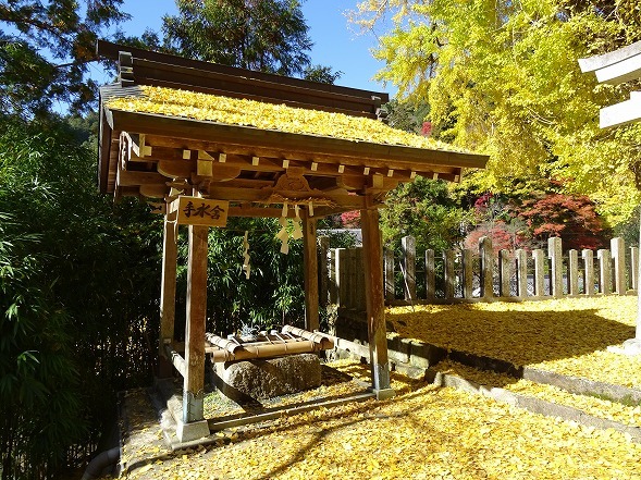 素戔雄神社の紅葉_b0299042_18403712.jpg