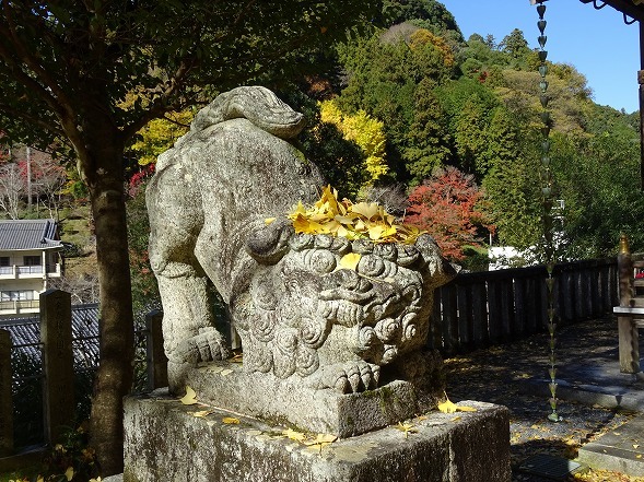 素戔雄神社の紅葉_b0299042_18413364.jpg