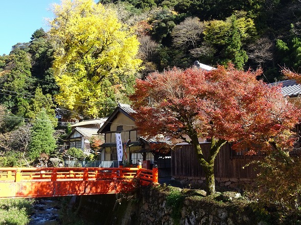 素戔雄神社の紅葉_b0299042_18421742.jpg