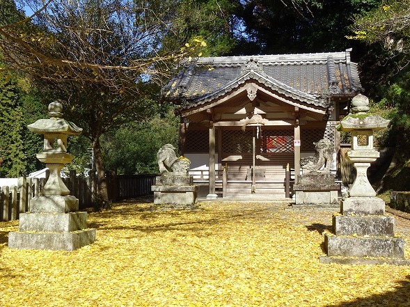 素戔雄神社の紅葉_b0299042_18493662.jpg